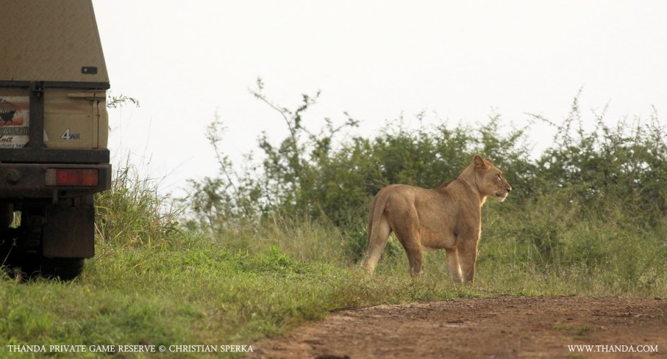 20140311 - CS1_5277 - E