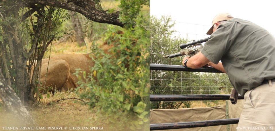 20140403 - CS0_0947 - E