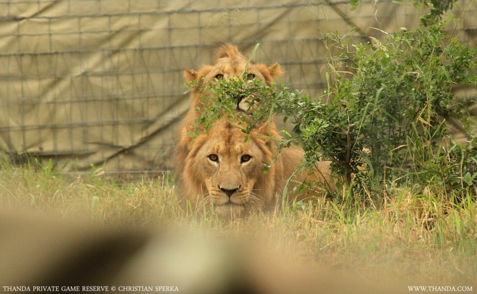 20140403 - CS1_5726 - E