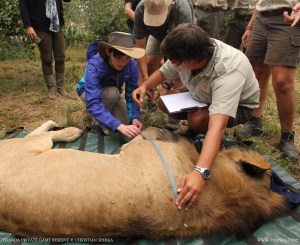 20140403 - CS2_5833 - E