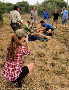 20140403 - CS2_5906 - E