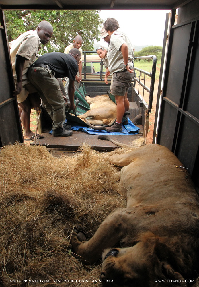 20140403 - CS2_5967 - E