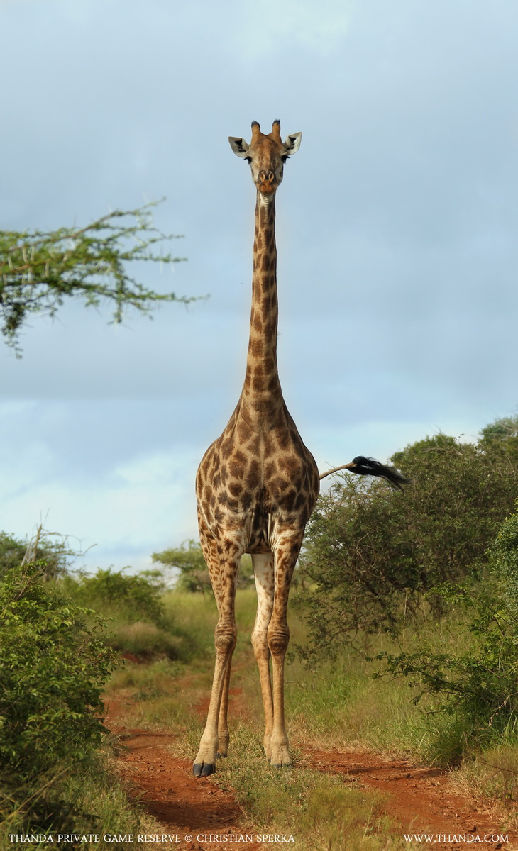 20140407 - CS1_6177 - E