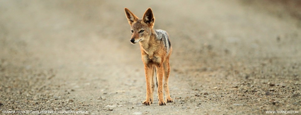 20140427 - CS1_7414 - E