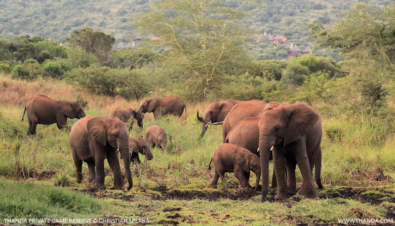 20140504 - CS2_9080 - E2