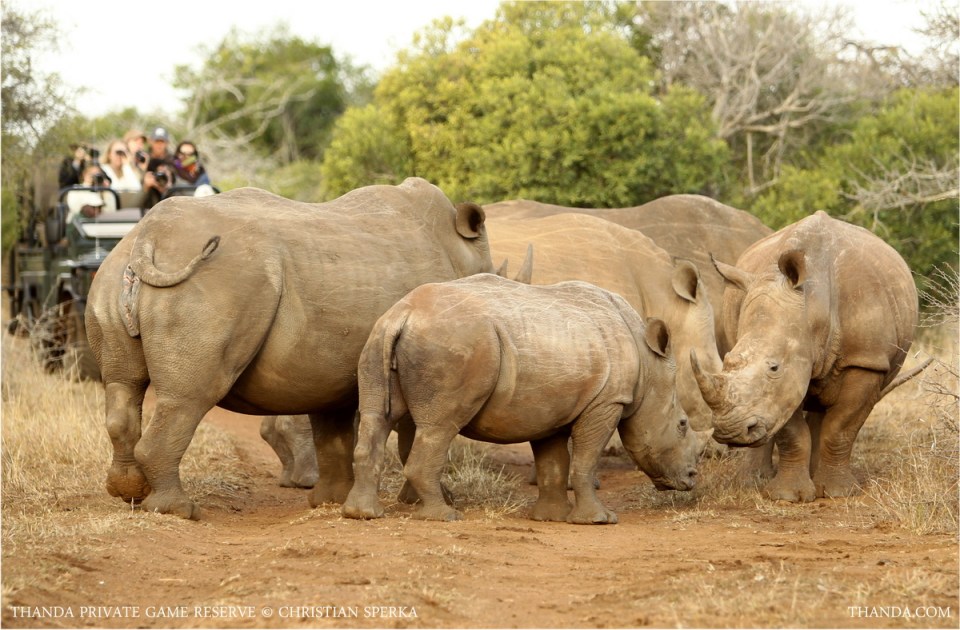 20130720 - CS3_3995 - E