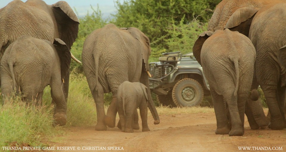 20140106 - CS1_7142- E