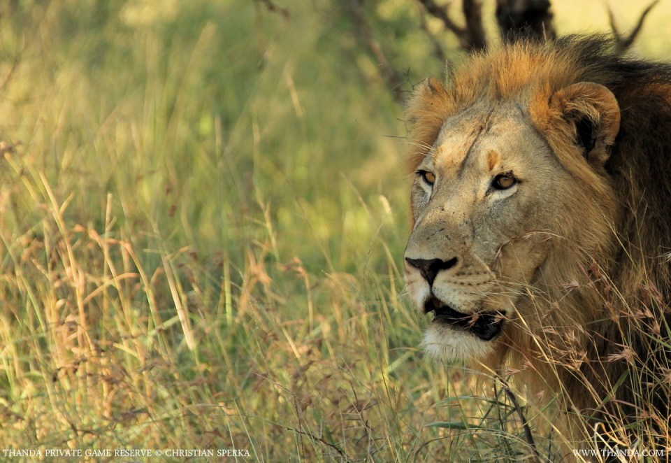 20140503 - CS2_7834 - E