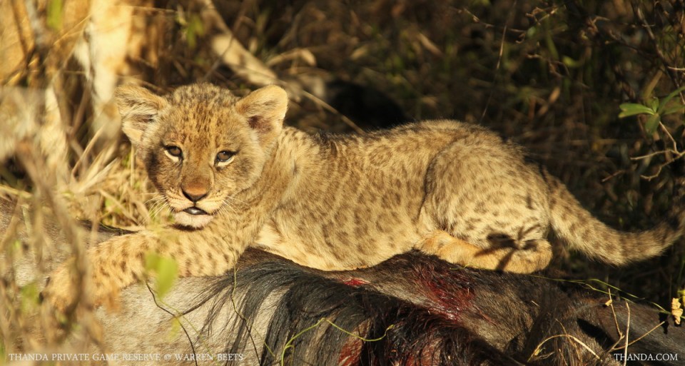 20140703 - CS1_0358 - E