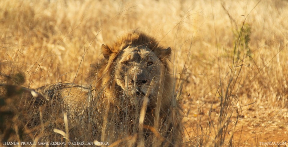 20140703 - CS1_0381 - E