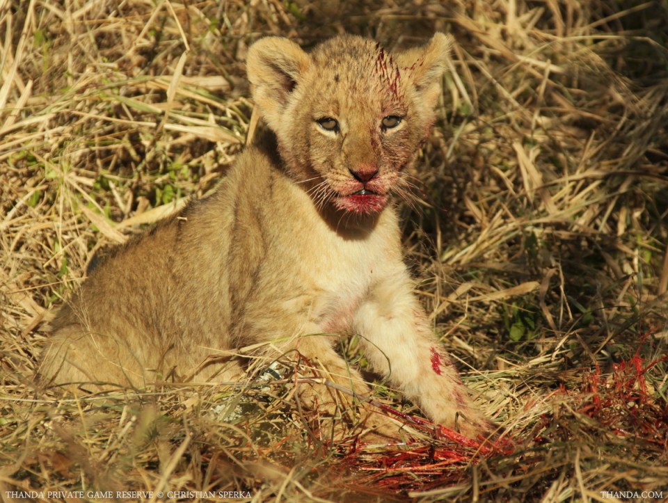 20140703 - CS1_0409 - E