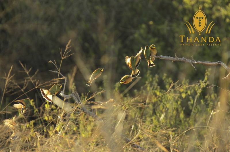 20140708 - CS0_1702 - E