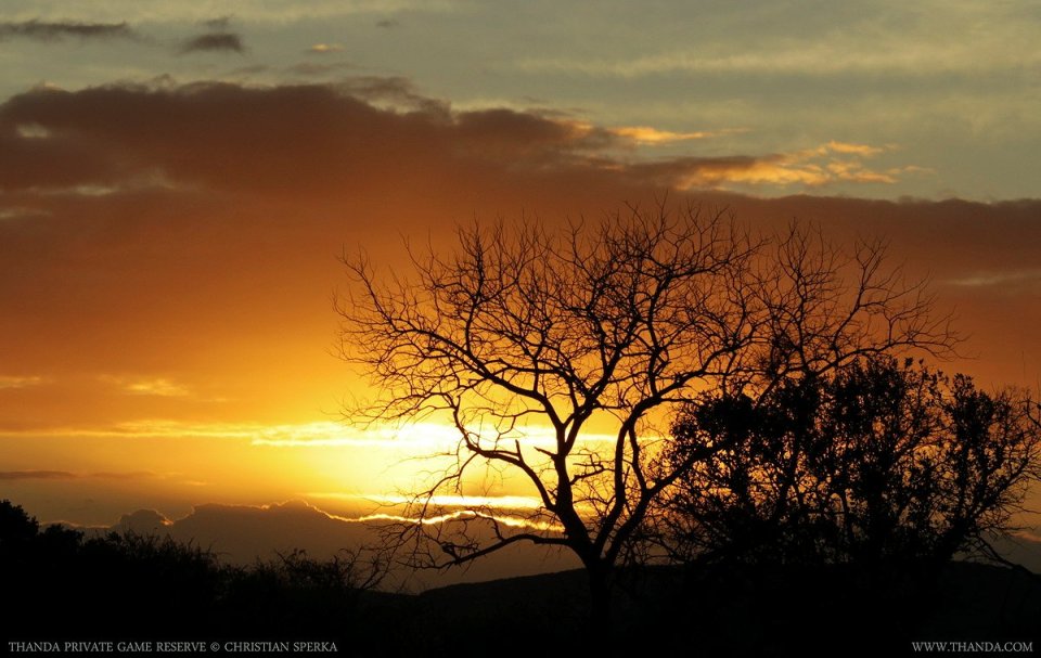 20140709 - CS1_1875 - E