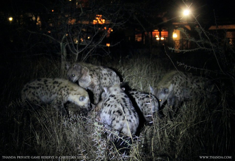 20140710 - CS1_2386 - E