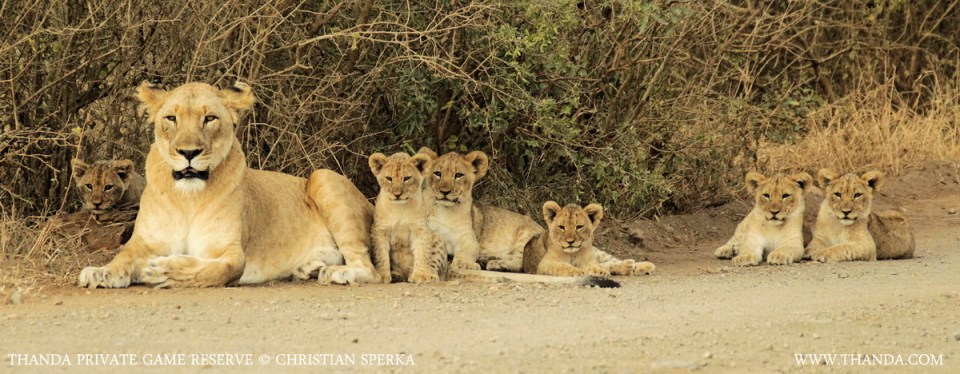 20140713 - CS1_3326 - E