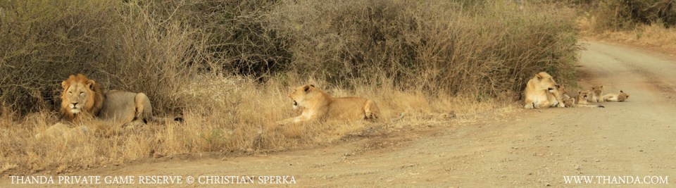 20140713 - CS1_3348 - E