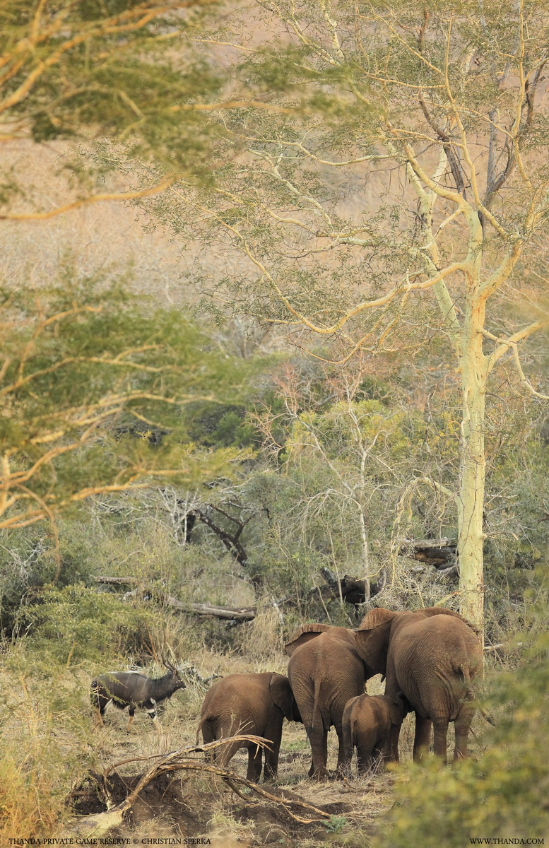 20140716 - CS3_9928 - E