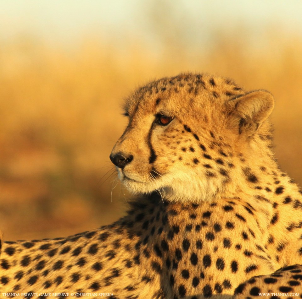 20140728 - CS1_4420 - E