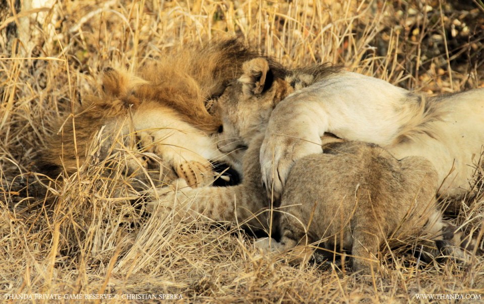 20140730 - CS1_4739 - E