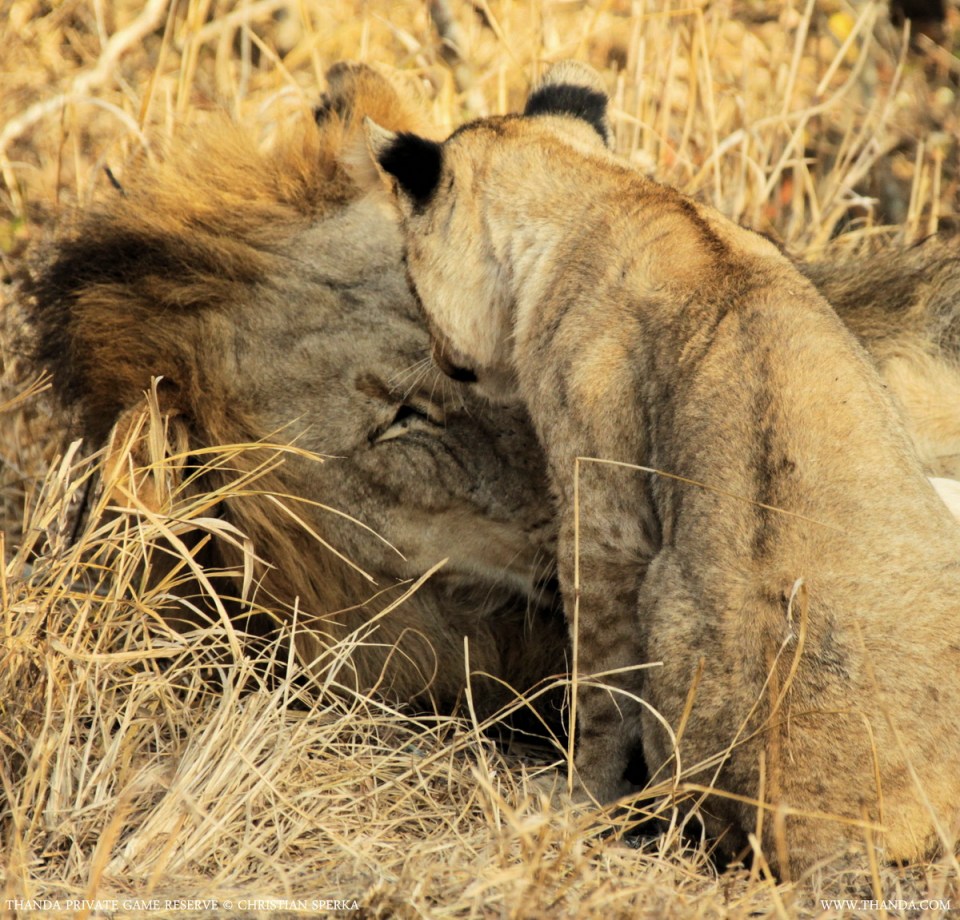 20140730 - CS1_4747 - E