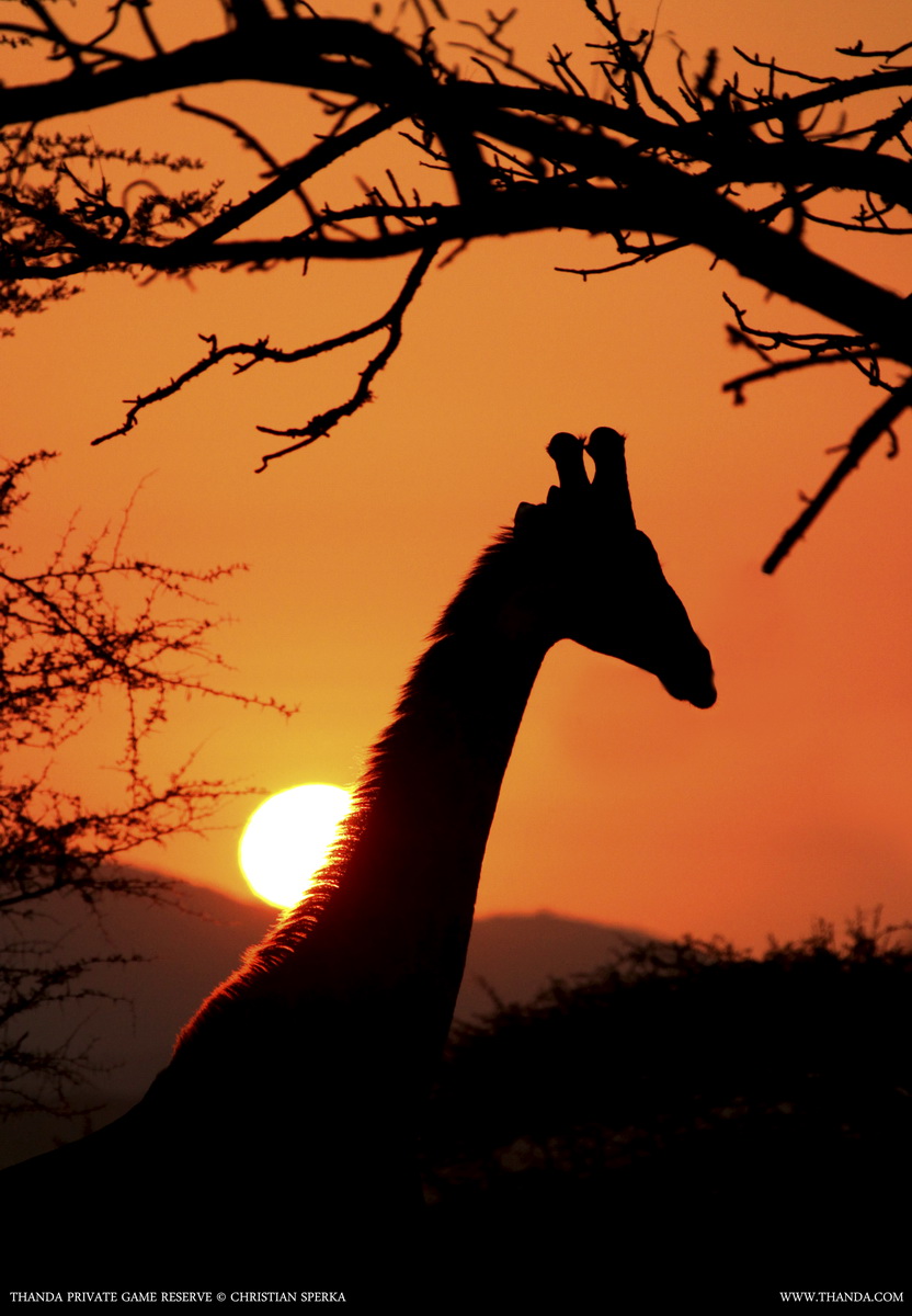 20140731 - CS1_4872 - E