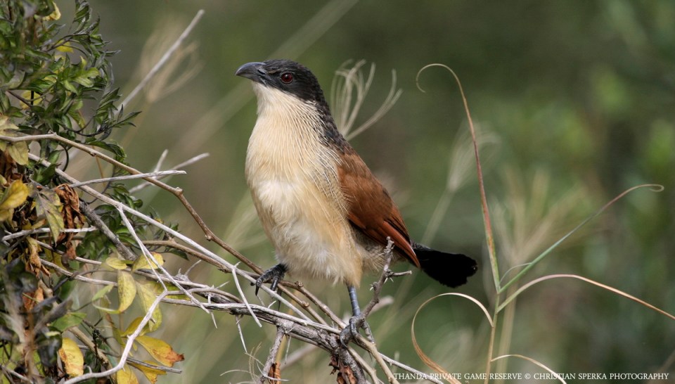 01848 - E - Christian Sperka Photography