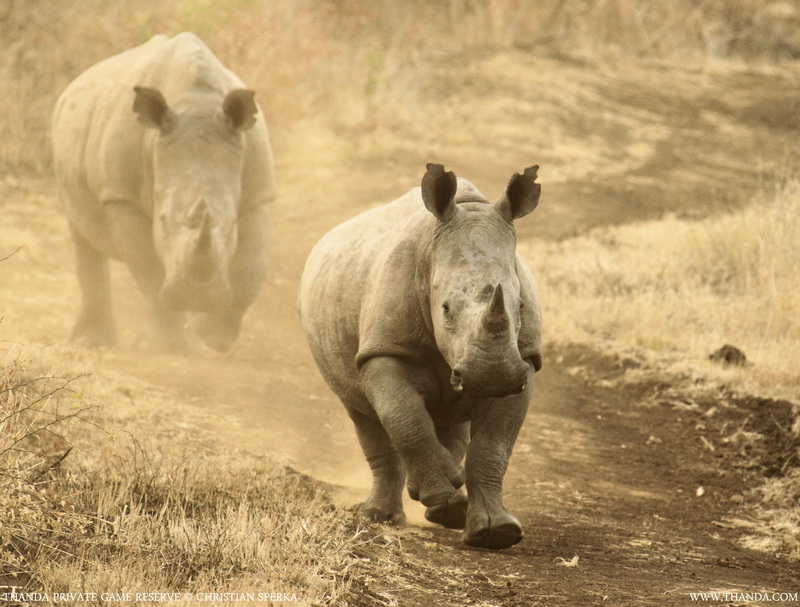 20140726 - CS1_3706 - E