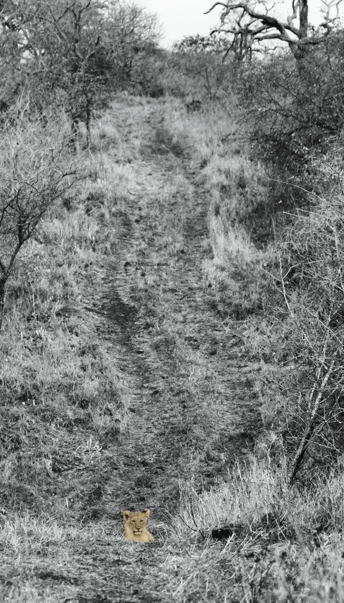 20140811 - CS1_7534 - E