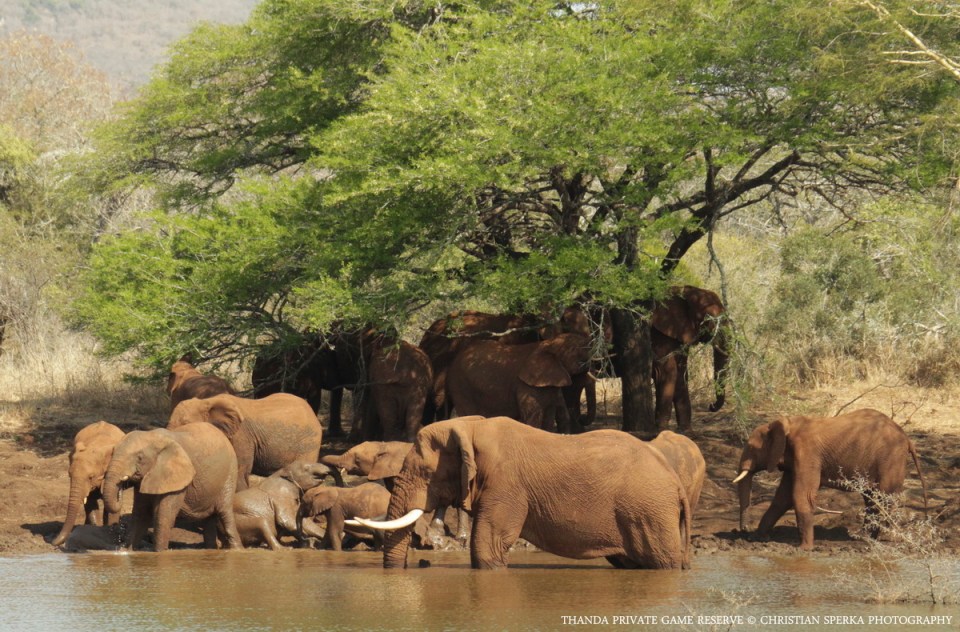 20140820 - CS1_8357 - E