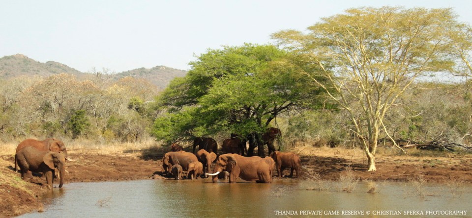 20140820 - CS1_8368 - E