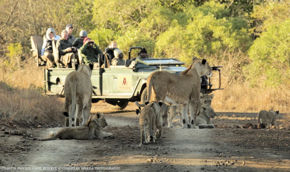 20140824 - CS1_9027 - E