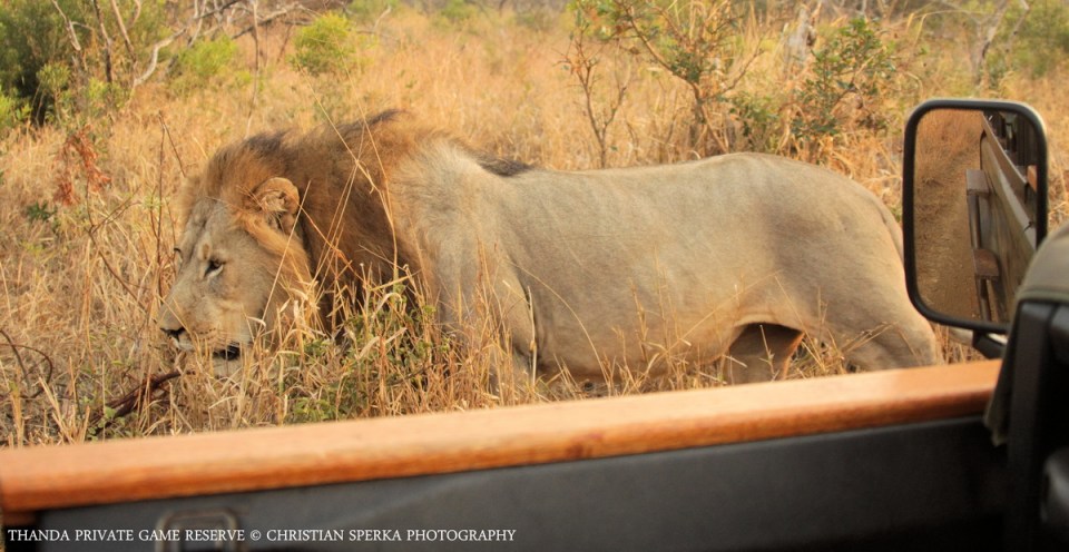 20140807 - CS1_6345 - E