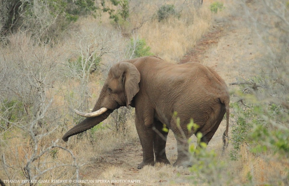 20140912 - CS1_1365 - E