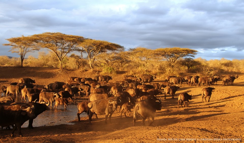 20100820 - CS2_7255 - E2