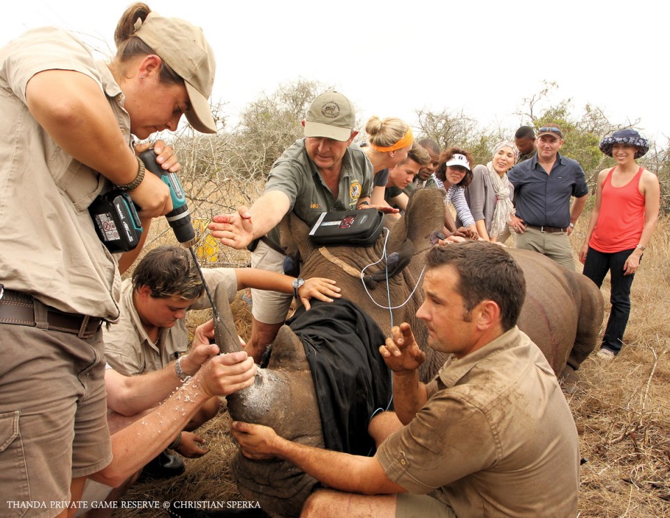 20140930 - CS2_0986 - E