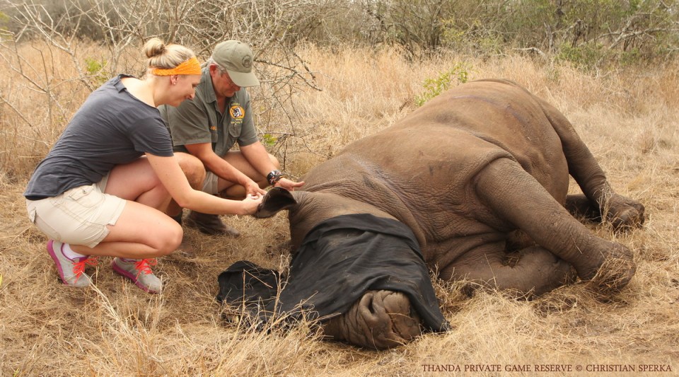 20140930 - CS2_1160 - E