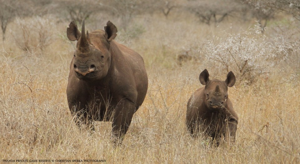 20141003 - CS3_8050 - E