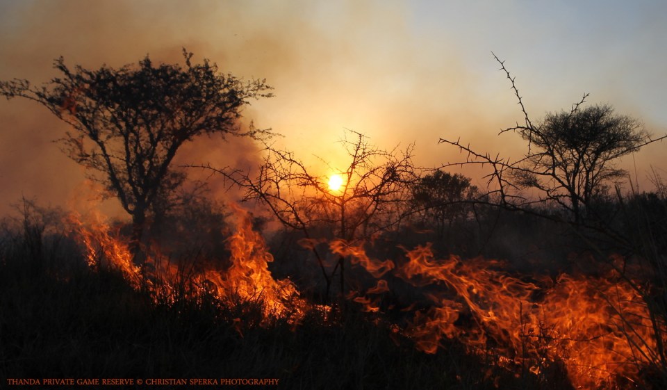 20141004 - CS2_8359 - E2