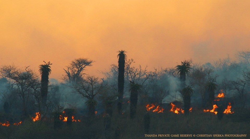 20141004 - CS3_8761 - E2