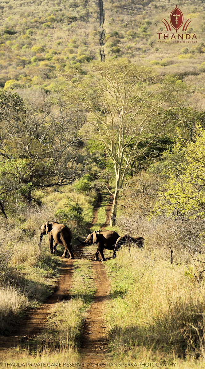 20141017 - CS3_9915 - E