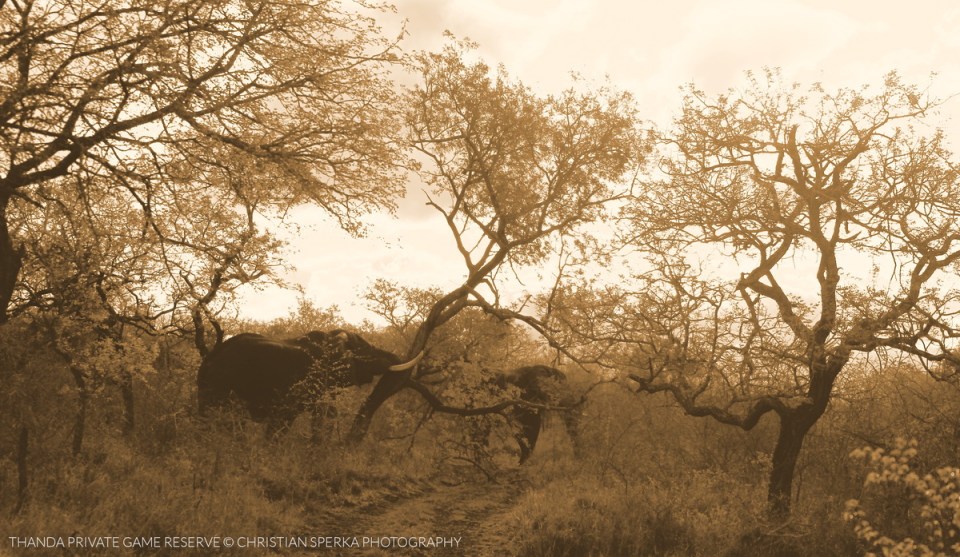 20141017 - CS3_9931 - E