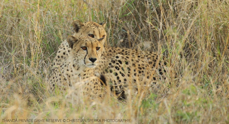 20141017 - CS3_9976 - E