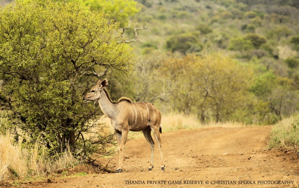 20141022 - CS3_0060 - E