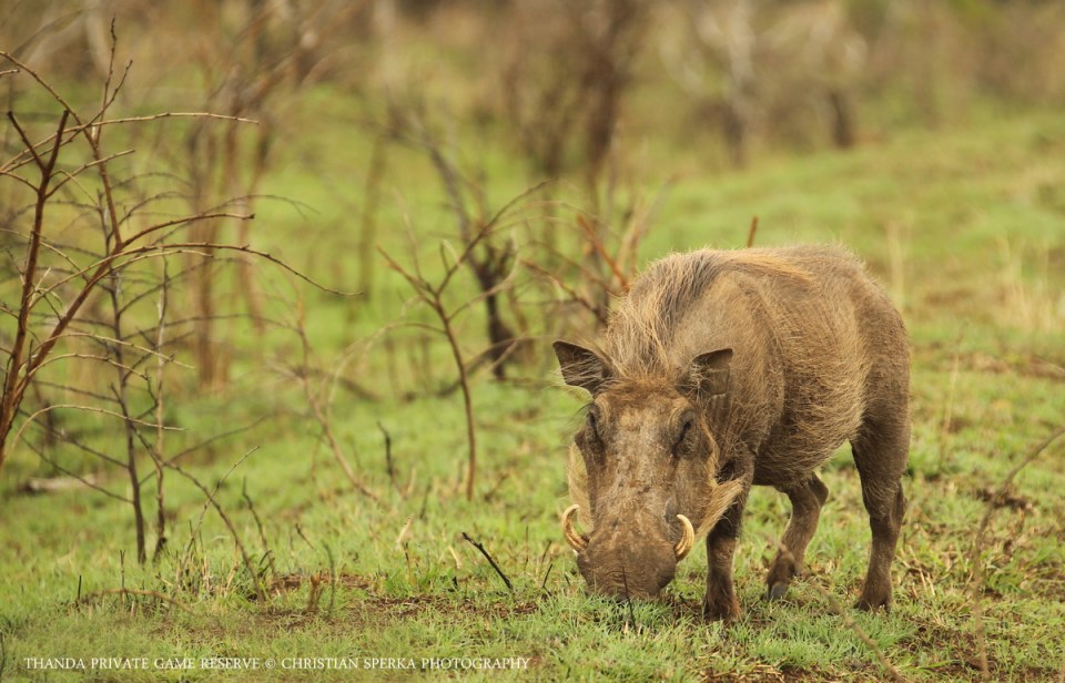 20141022 - CS3_0066 - E