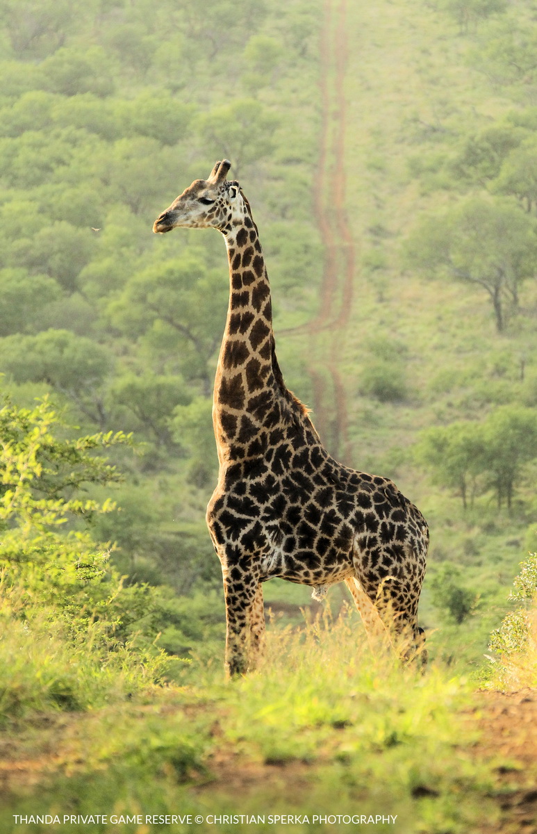 20131125 - CS1_5164 - E 2