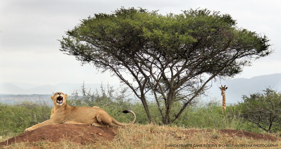 20140202 - CS1_9709 - E2