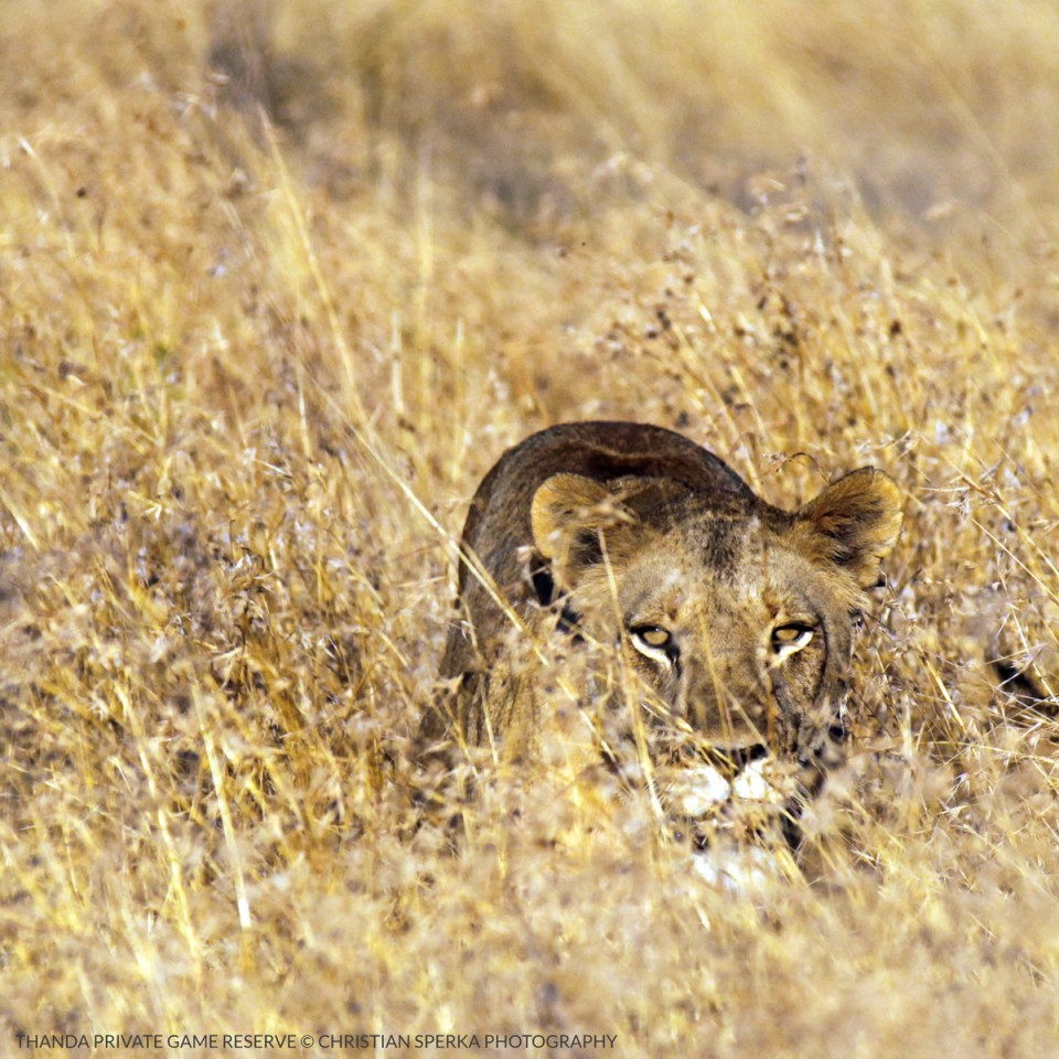 20140728 - CS1_4300 - E