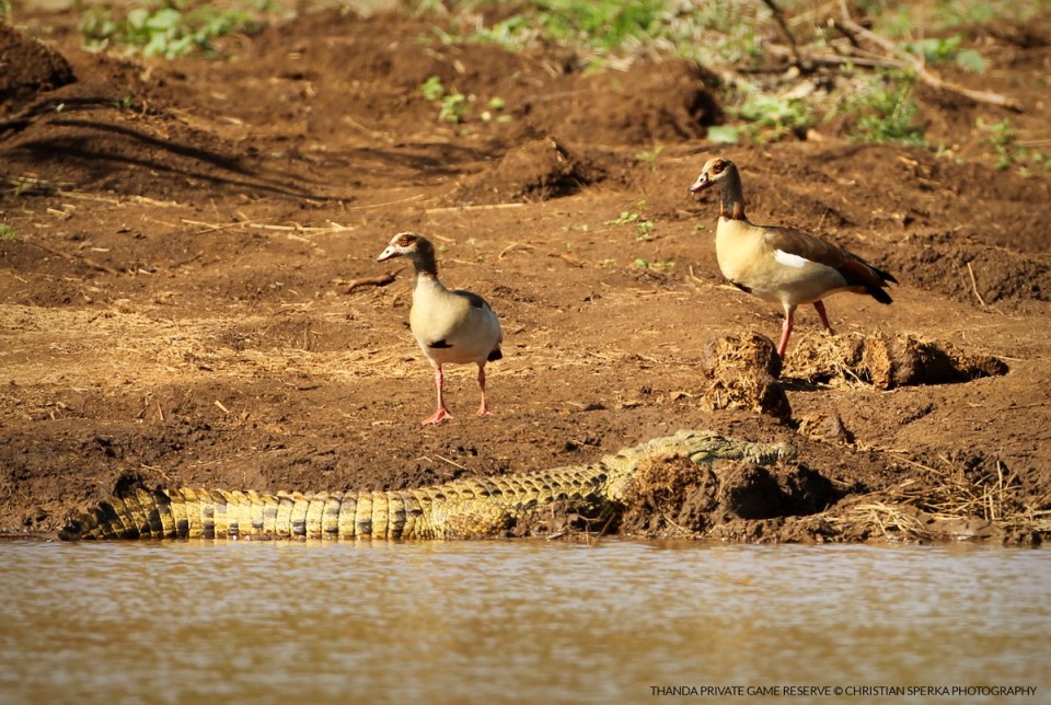 20141109 - CS3_1005 - T