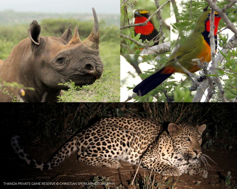 20141214 - CS0_1753 - E