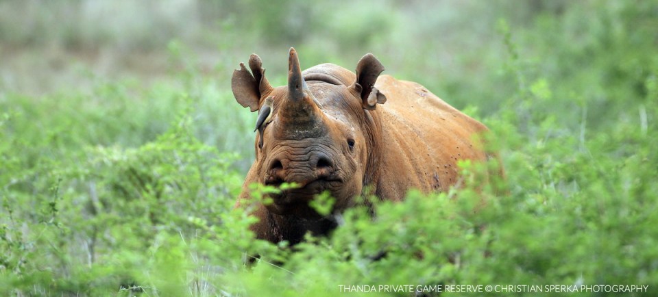 20141215 - CS2_6015 - T